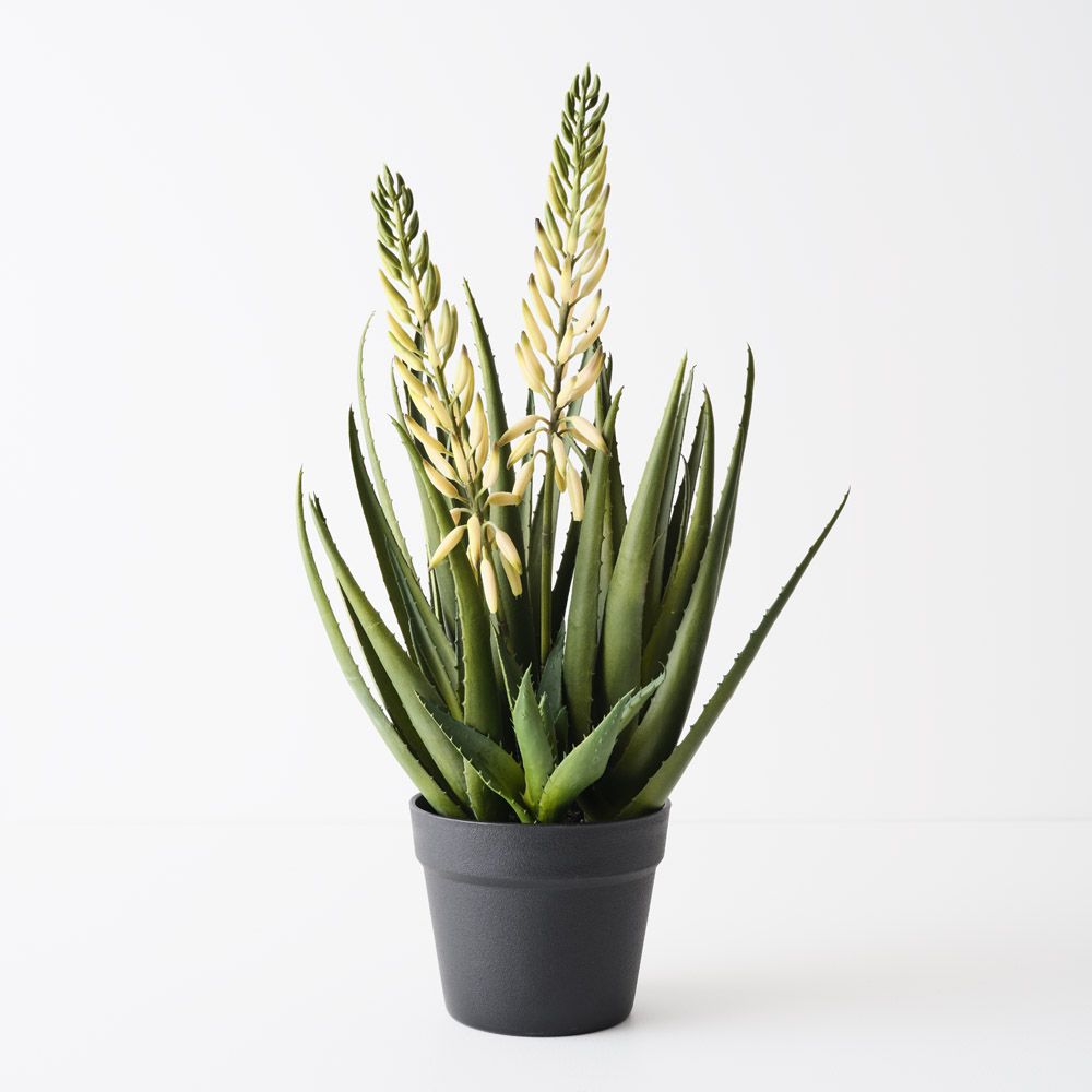 Artificial flowering agave plant 56cm