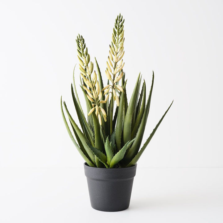 Artificial flowering agave plant 56cm