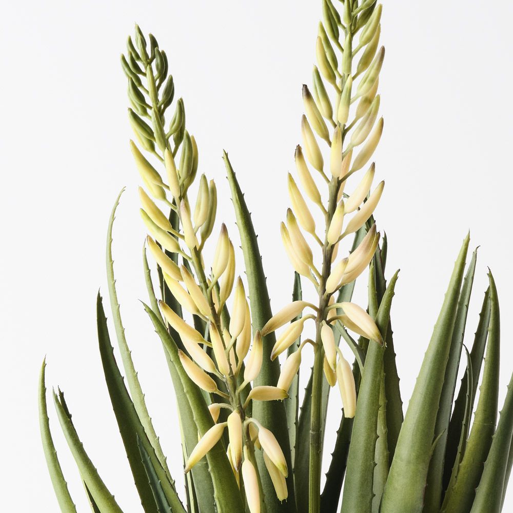 Artificial flowering agave plant 56cm – view 2
