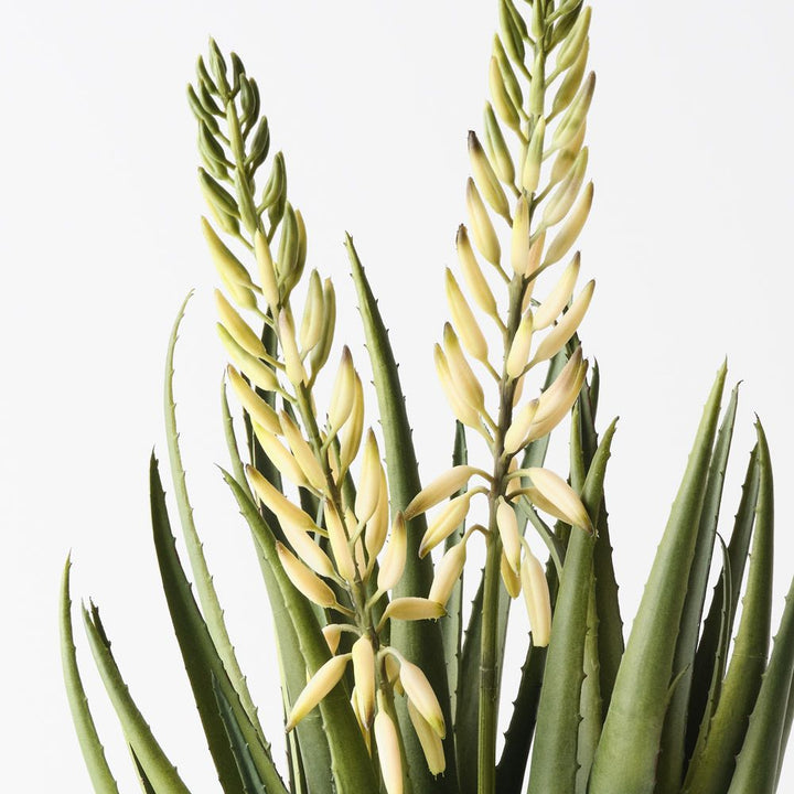 Artificial flowering agave plant 56cm – view 2