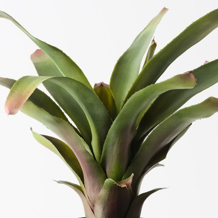 Artificial bromeliad plant 45cm – view 2