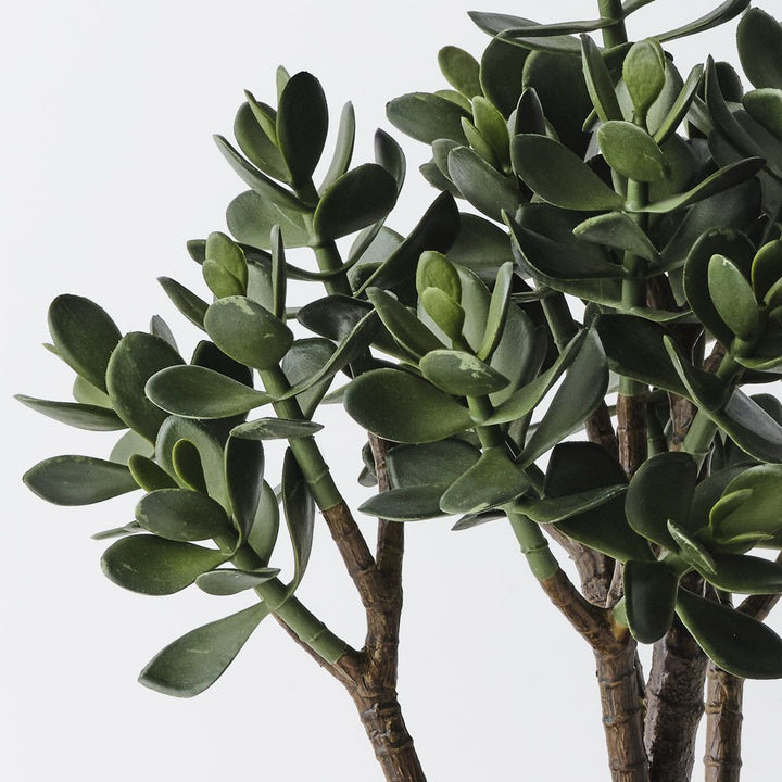 Artificial jade plant 50cm – view 2
