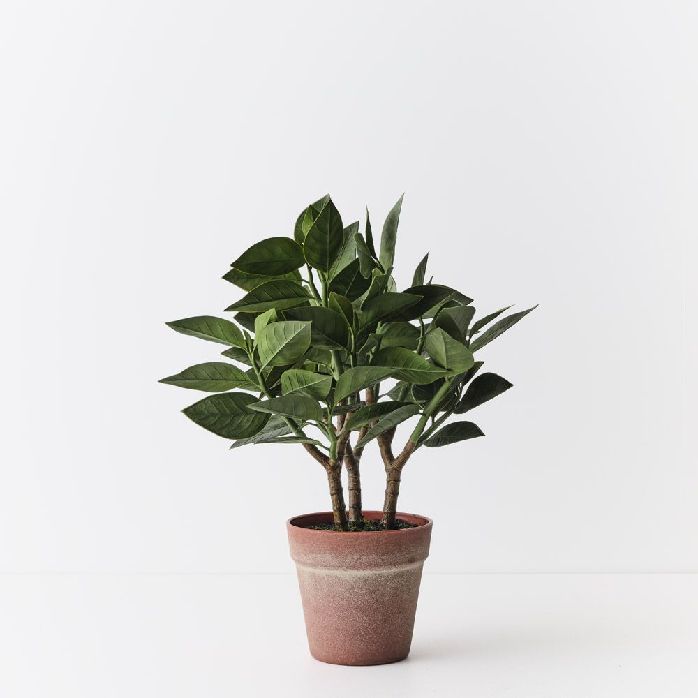 Artificial euphorbia zig zag plant 43cm