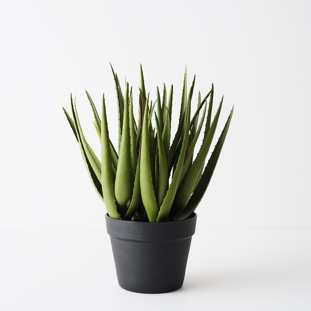 Artificial light green aloe vera plant 45cm
