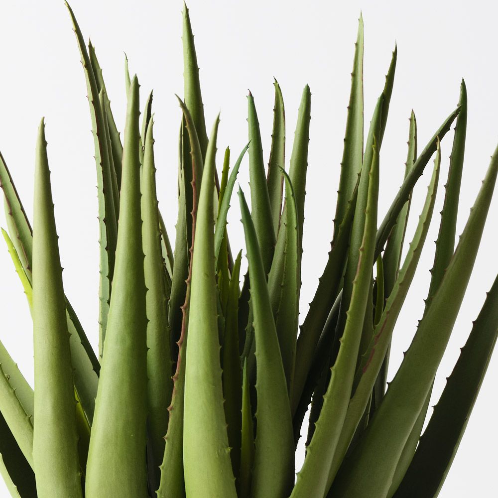 Artificial light green aloe vera plant 45cm – view 2