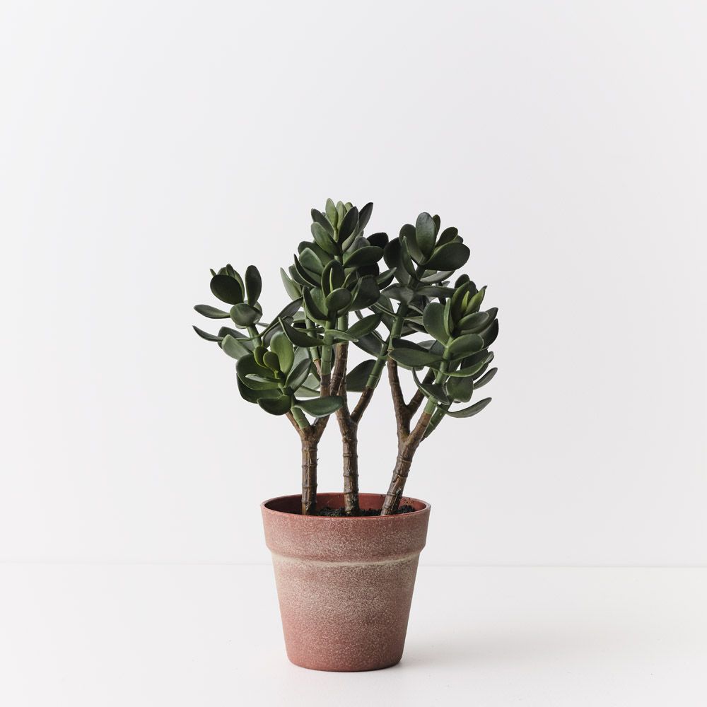 Artificial jade plant 38cm