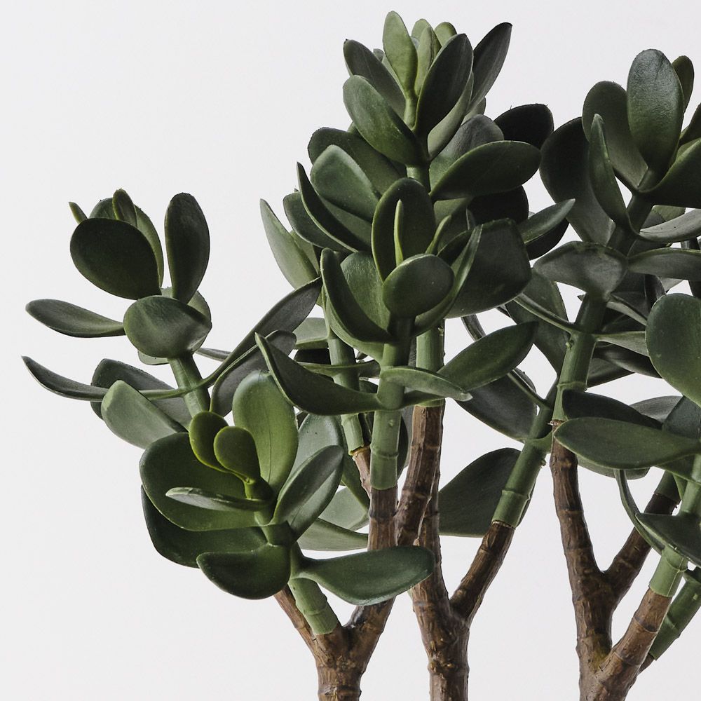 Artificial jade plant 38cm – view 2