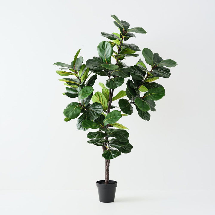 Artificial fiddle leaf fig tree 210cm