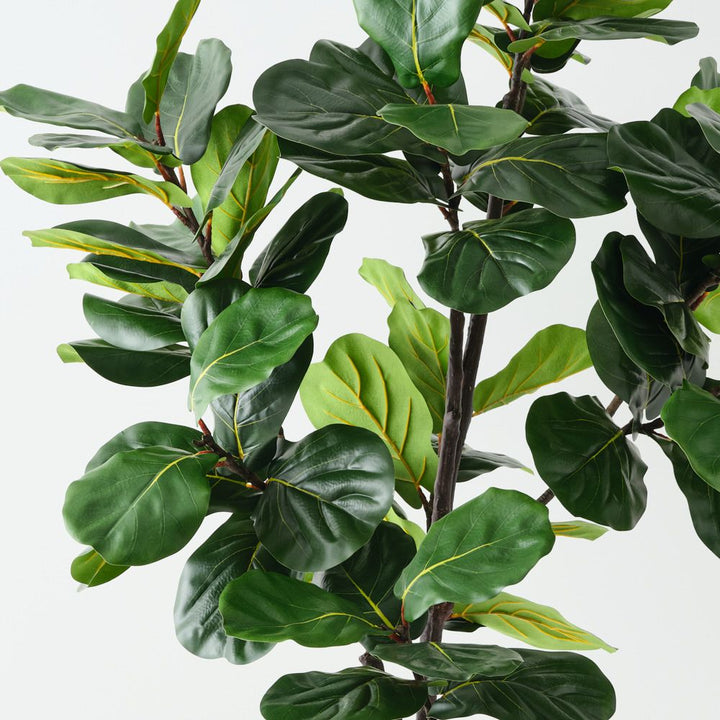 Artificial fiddle leaf fig tree 210cm – view 2