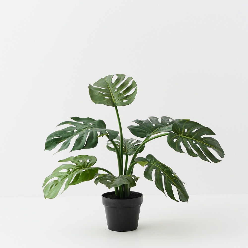Artificial monstera plant 61cm