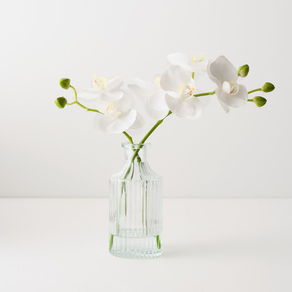 Artificial white phalaenopsis orchid in glass vase 25cm