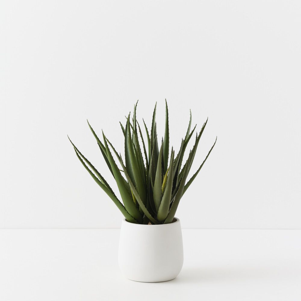Artificial aloe vera plant 53cm