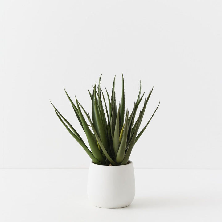 Artificial aloe vera plant 53cm