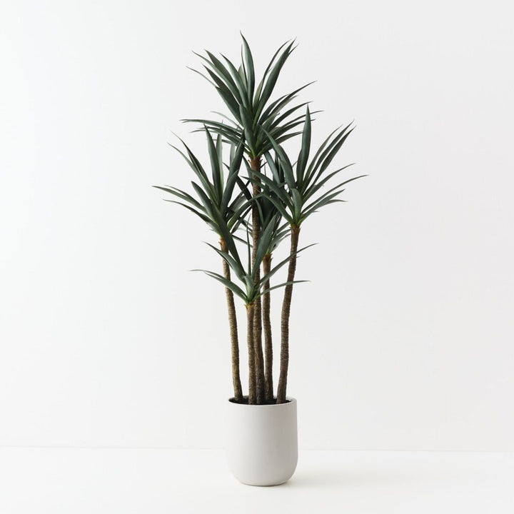 Artificial yucca plant 183cm