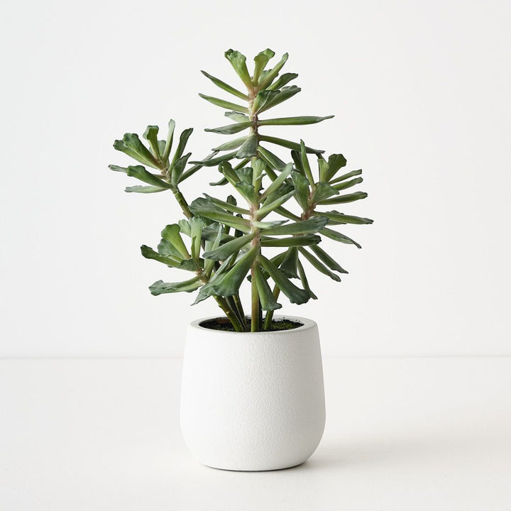 Artificial senecio trailing plant 30cm