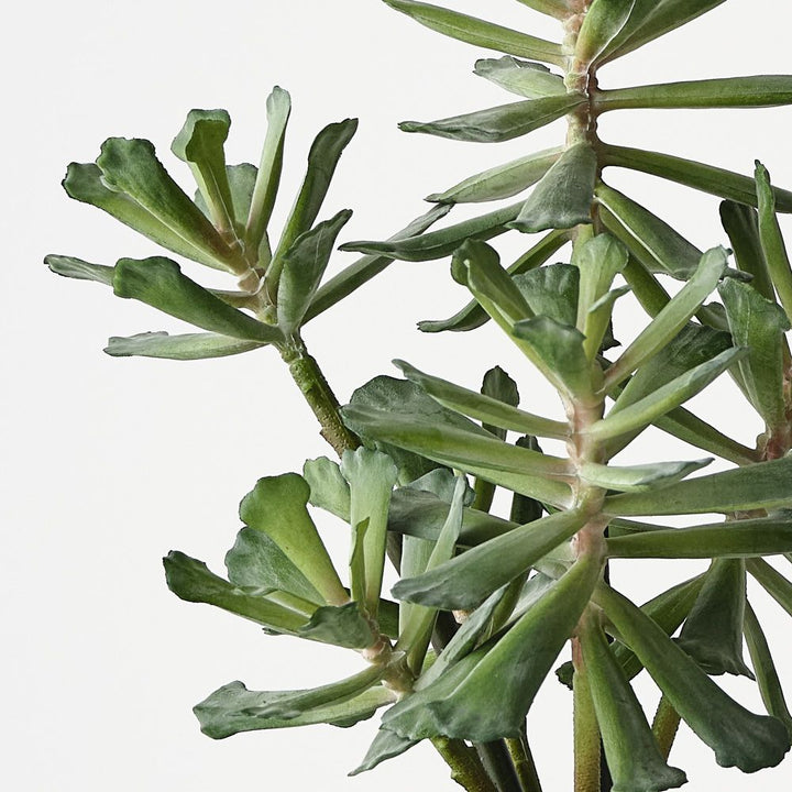 Artificial senecio trailing plant 30cm – view 2