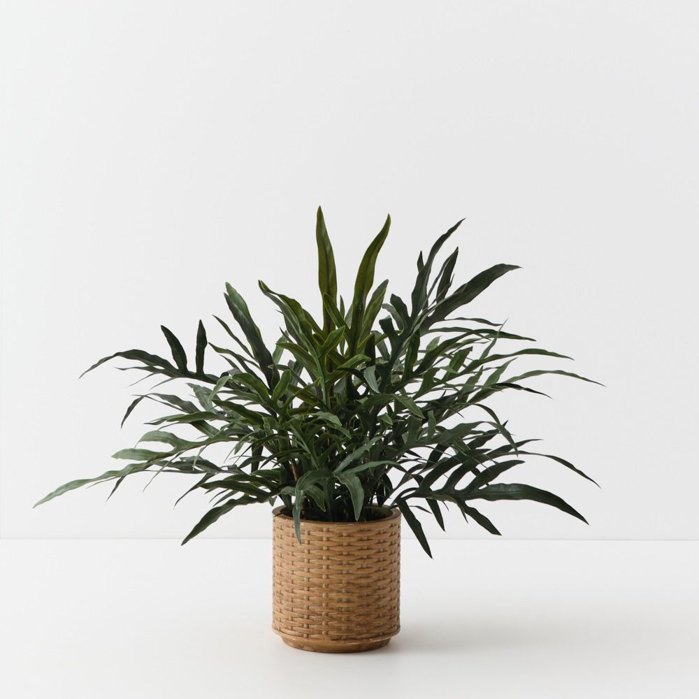 Artificial snake leaf fern plant 56cm