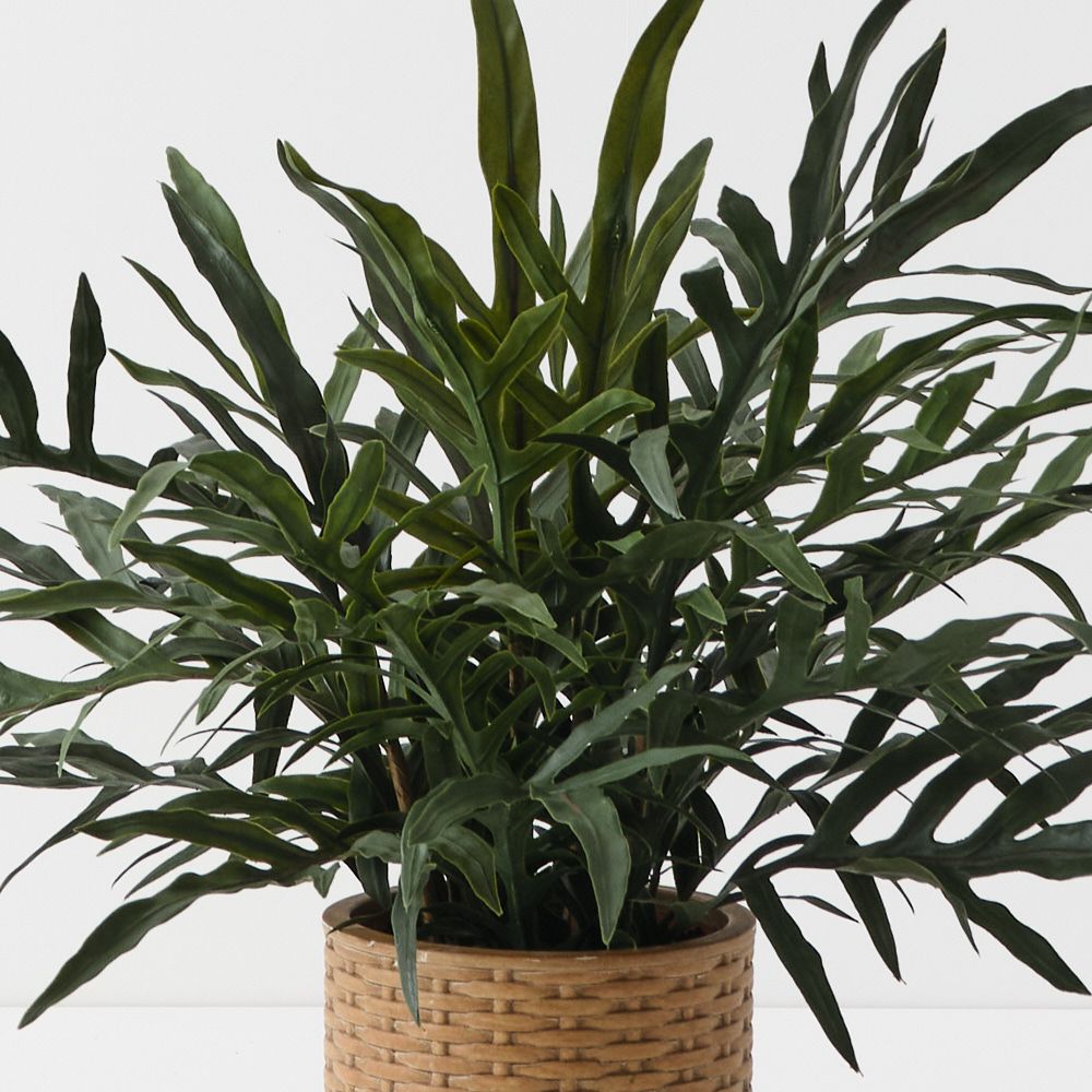 Artificial snake leaf fern plant 56cm – view 2