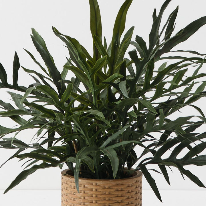 Artificial snake leaf fern plant 56cm – view 2