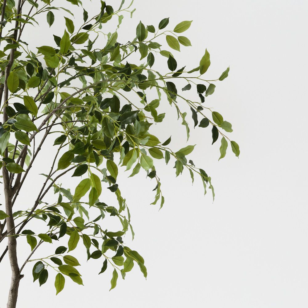 Artificial ficus tree 270cm – view 2