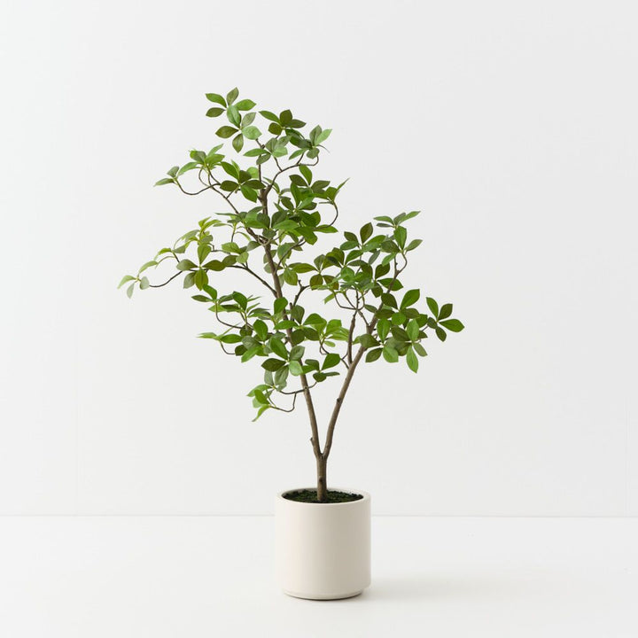 Artificial cape jasmine tree 90cm