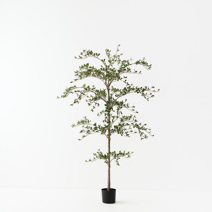 Artificial black olive tree 180cm