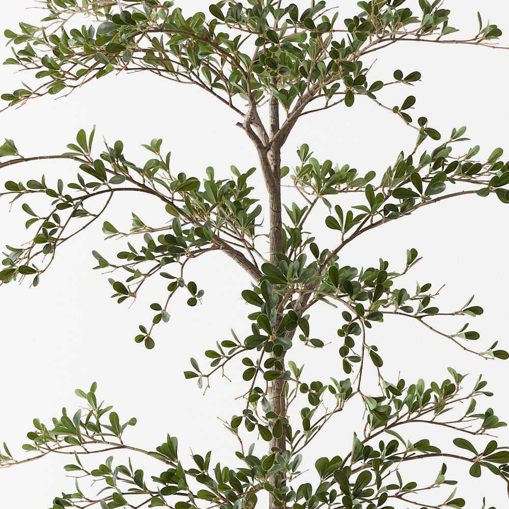 Artificial black olive tree 180cm – view 2