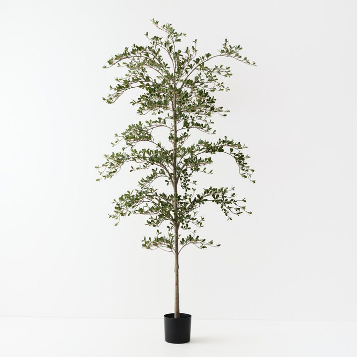 Artificial black olive tree 210cm