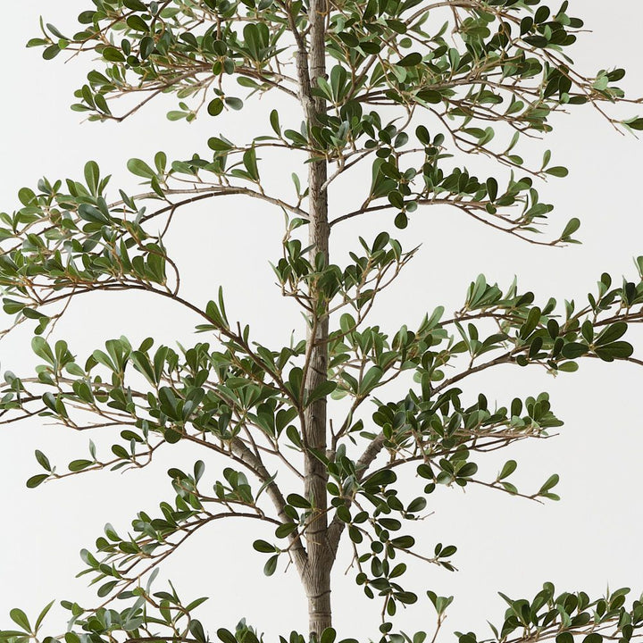 Artificial black olive tree 210cm – view 2