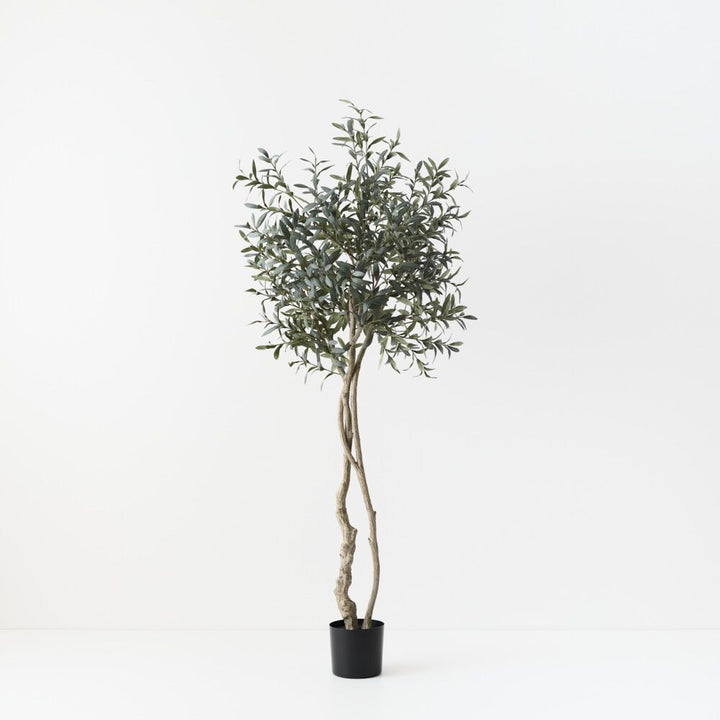 Artificial olive topiary tree 200cm