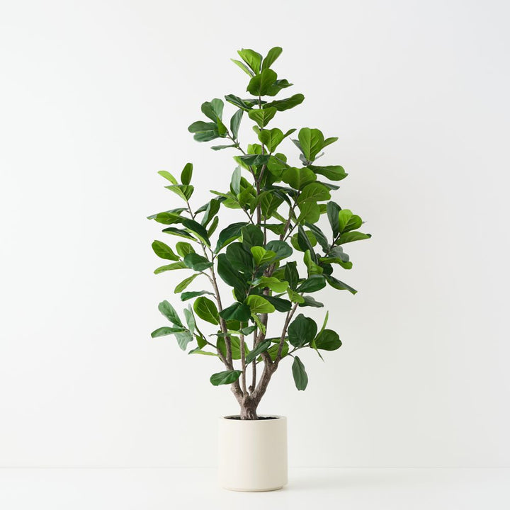 Artificial fiddle leaf fig tree 210cm, branching