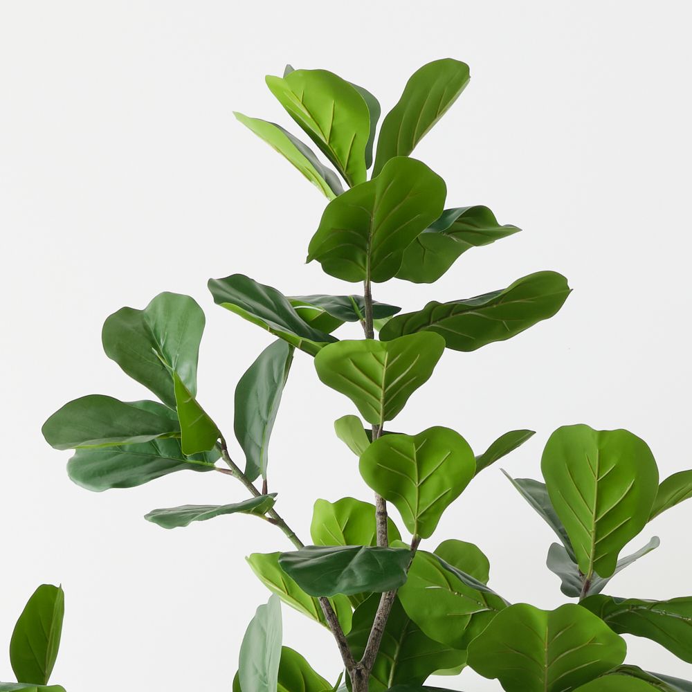 Artificial fiddle leaf fig tree 210cm, branching – view 2