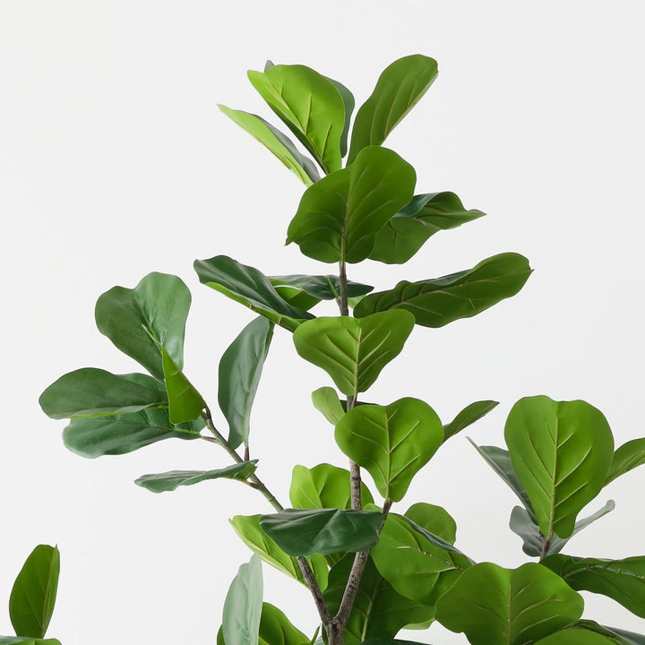 Artificial fiddle leaf fig tree 210cm, branching – view 2