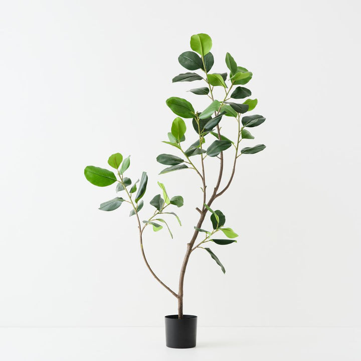 Artificial rubber tree 180cm, branching