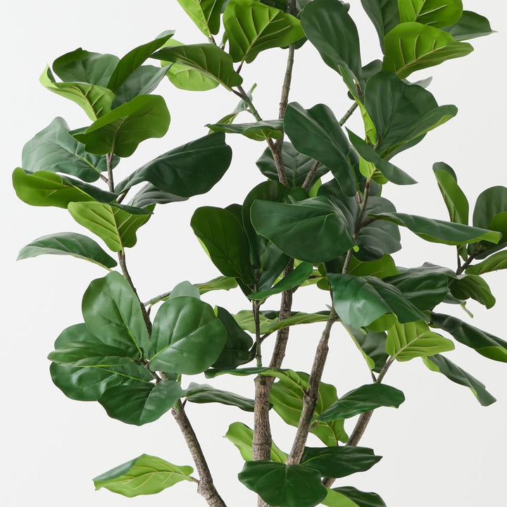 Artificial fiddle leaf fig tree 150cm, branching – view 2