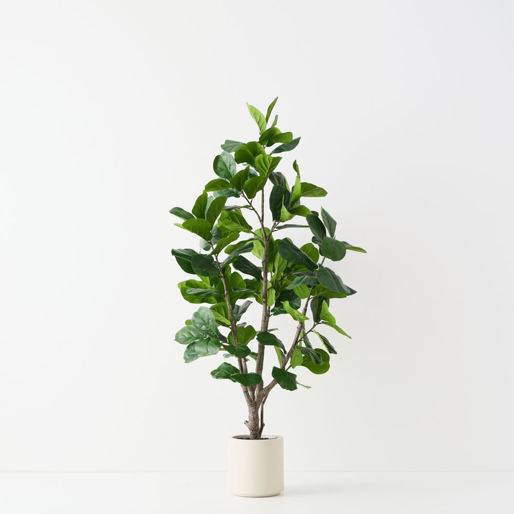 Artificial fiddle leaf fig tree 180cm, branching