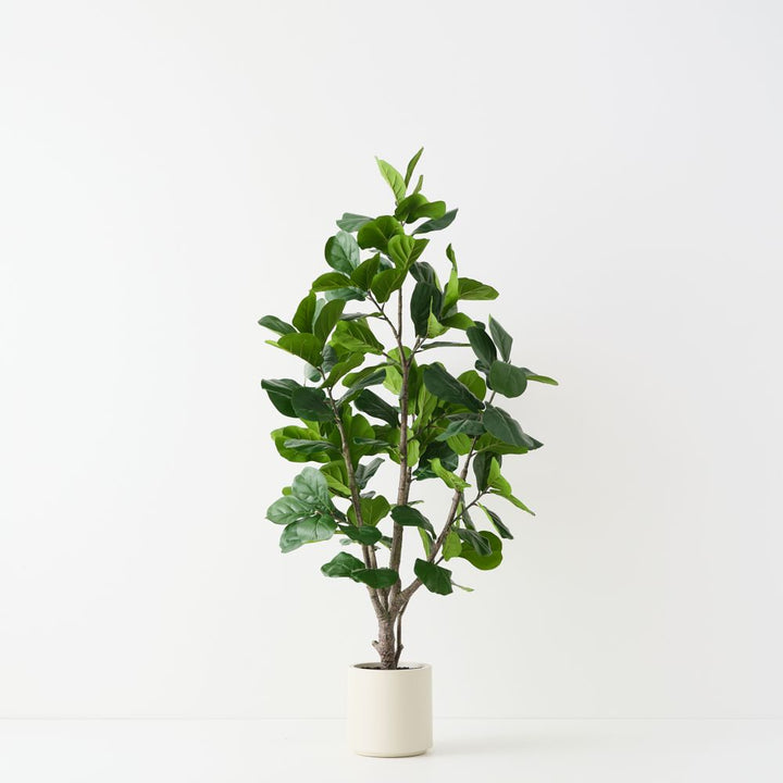 Artificial fiddle leaf fig tree 180cm, branching