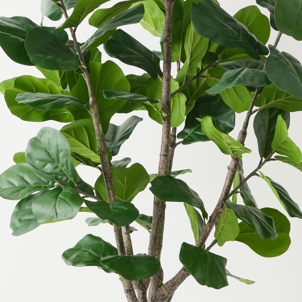 Artificial fiddle leaf fig tree 180cm, branching – view 2