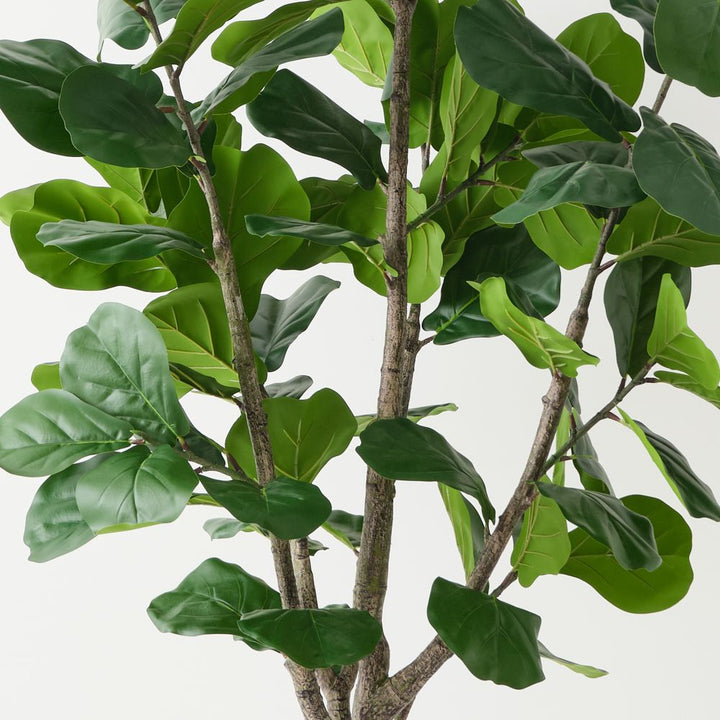 Artificial fiddle leaf fig tree 180cm, branching – view 2