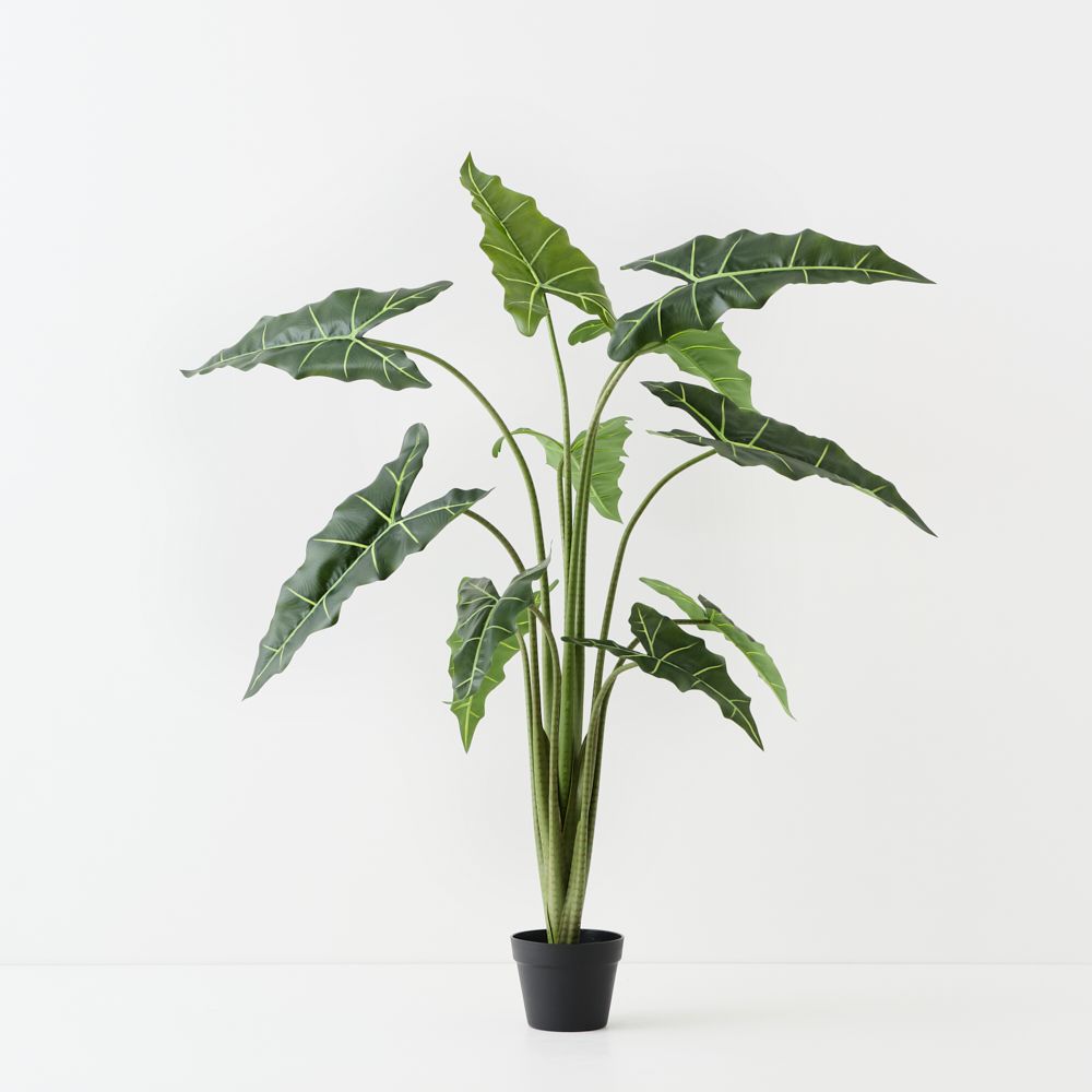 Artificial alocasia plant 140cm with pale veining