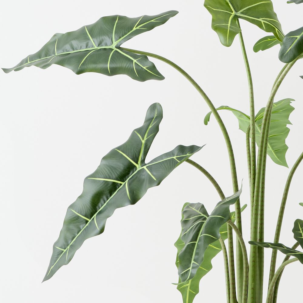 Artificial alocasia plant 140cm with pale veining – view 2