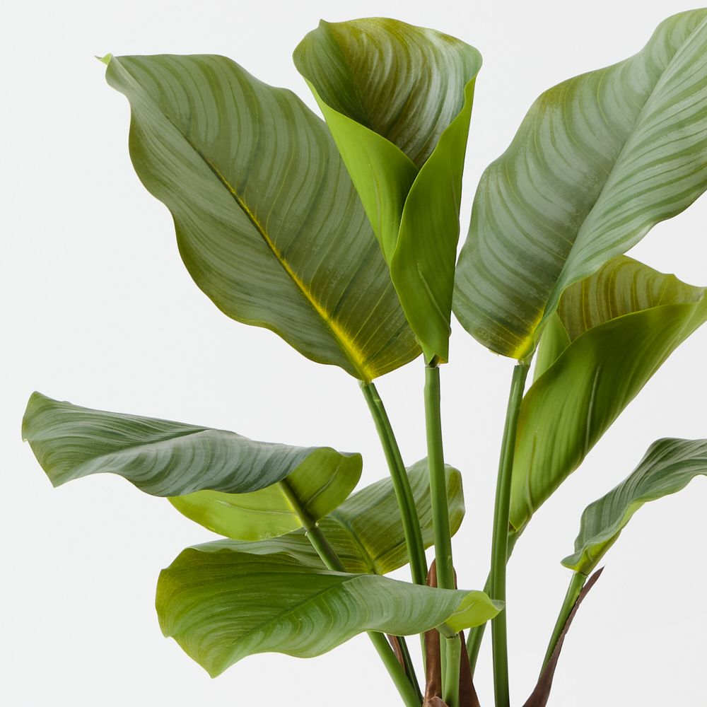 Artificial calathea plant 50cm – view 2