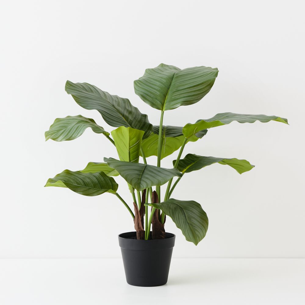 Artificial calathea plant 65cm