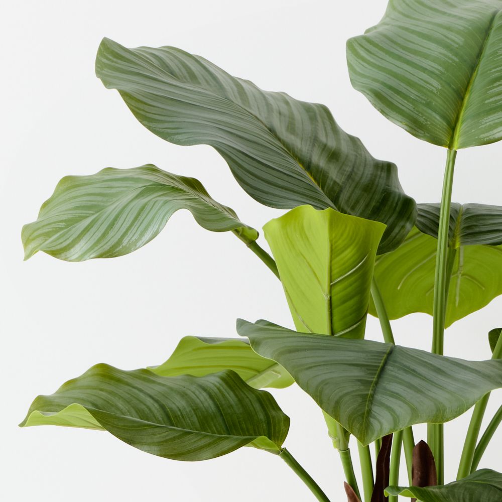 Artificial calathea plant 65cm – view 2
