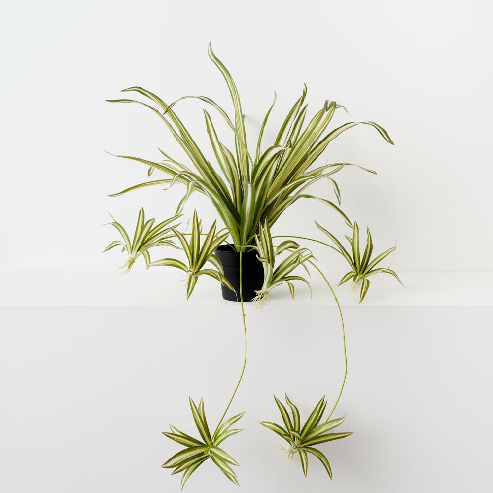 Artificial green and white spider plant