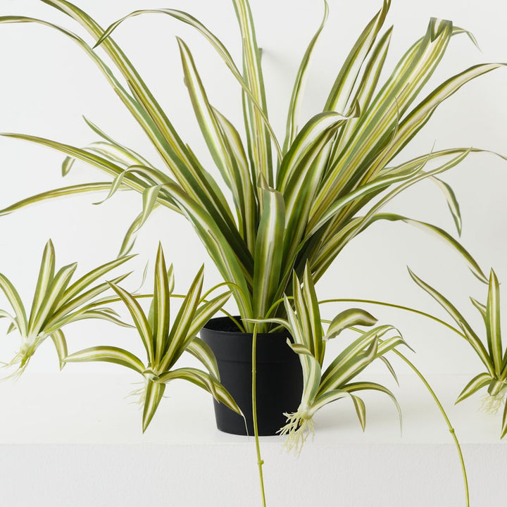 Artificial green and white spider plant – view 2