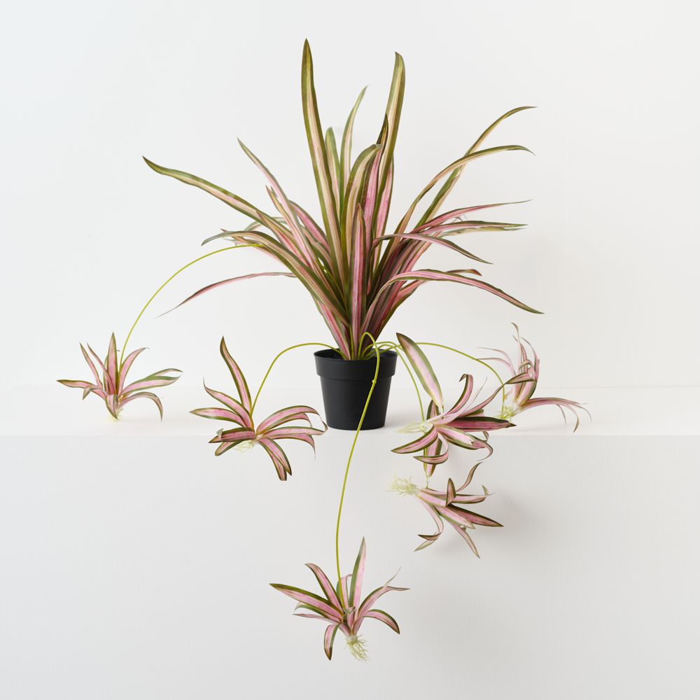 Artificial pink and green spider plant