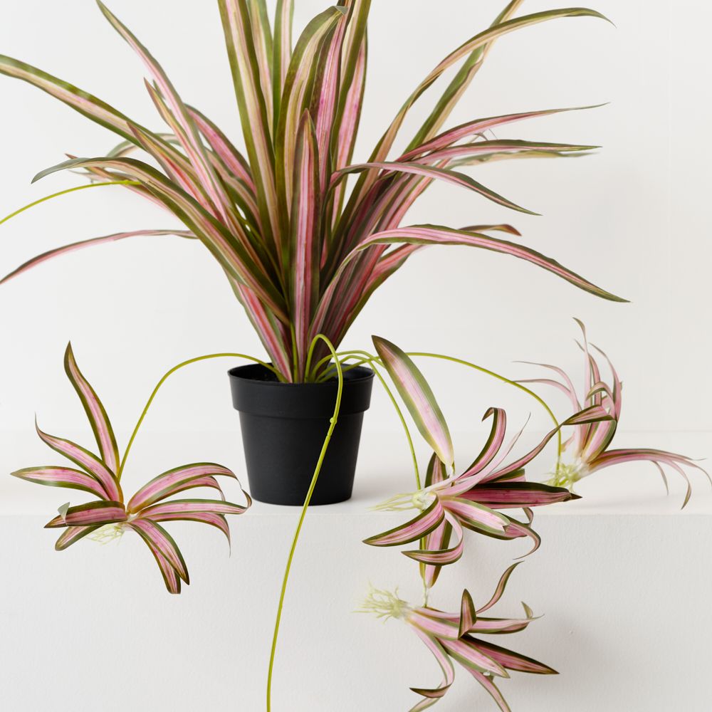 Artificial pink and green spider plant – view 2