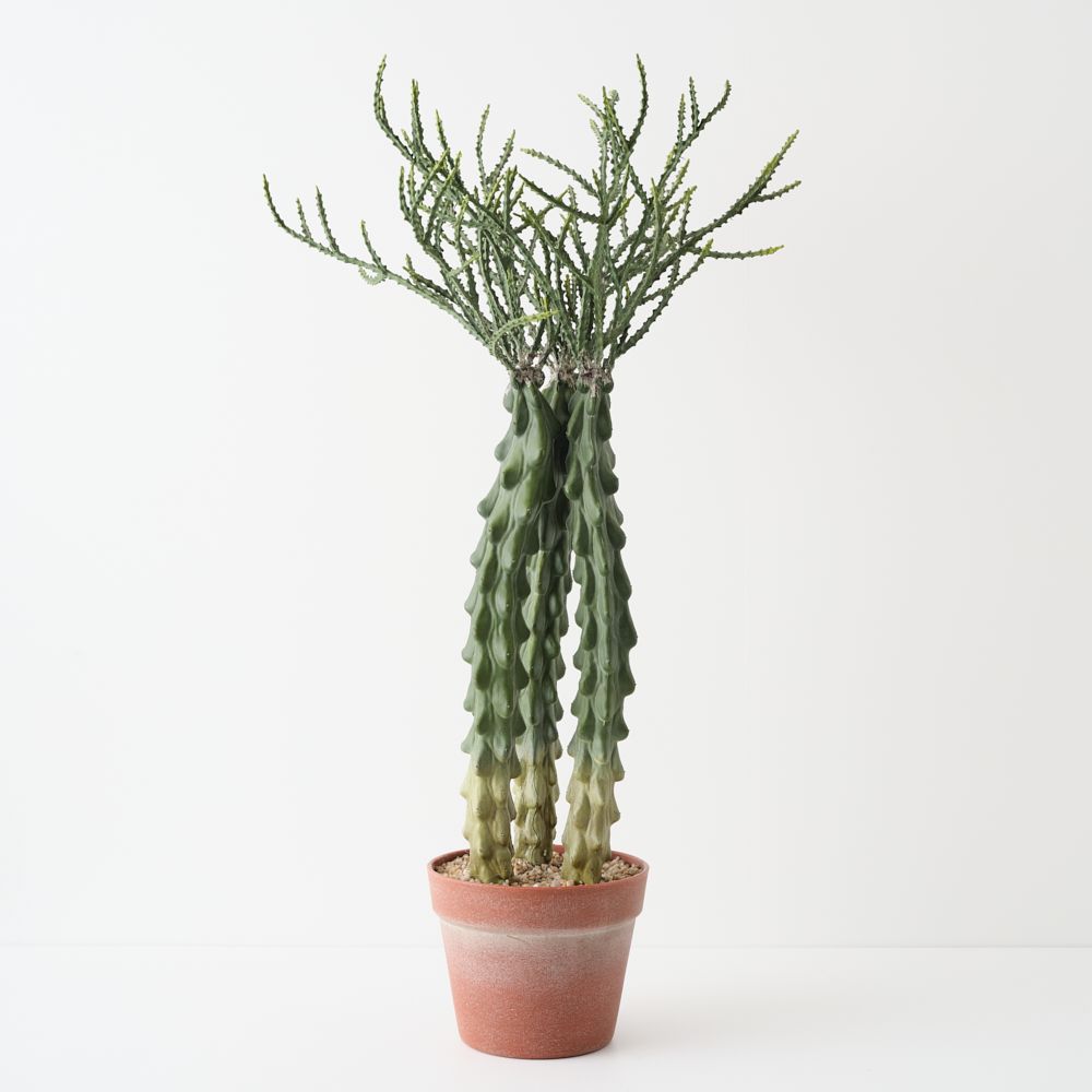 Artificial crown cactus plant 68cm