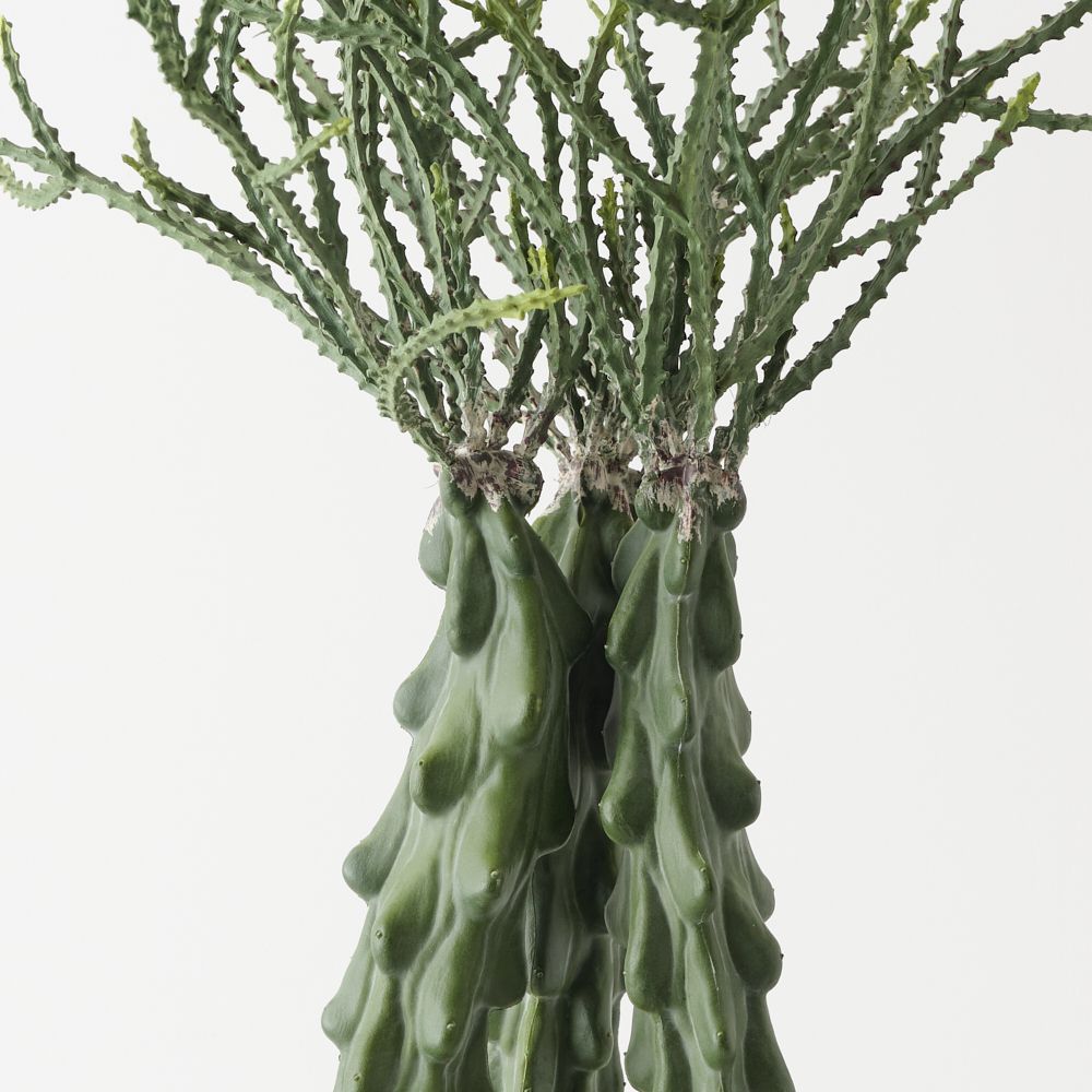 Artificial crown cactus plant 68cm – view 2
